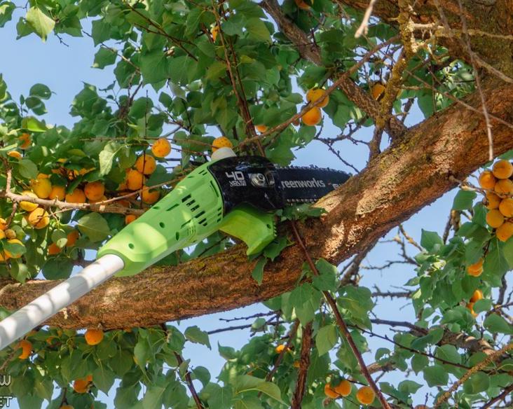 Когда длина имеет значение: обзор высотореза greenworks g40psf